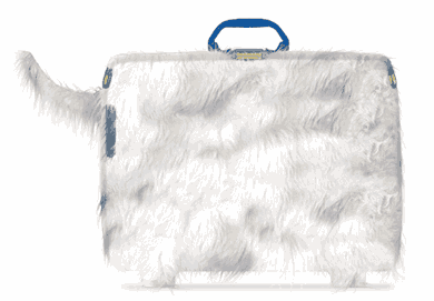 FidoBag