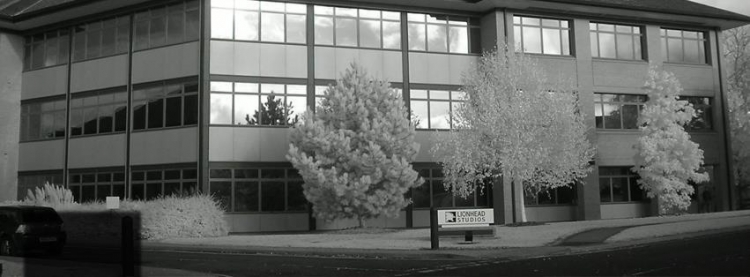 Слухи: Microsoft не согласилась продавать права на Fable даже за «сотни миллионов долларов»