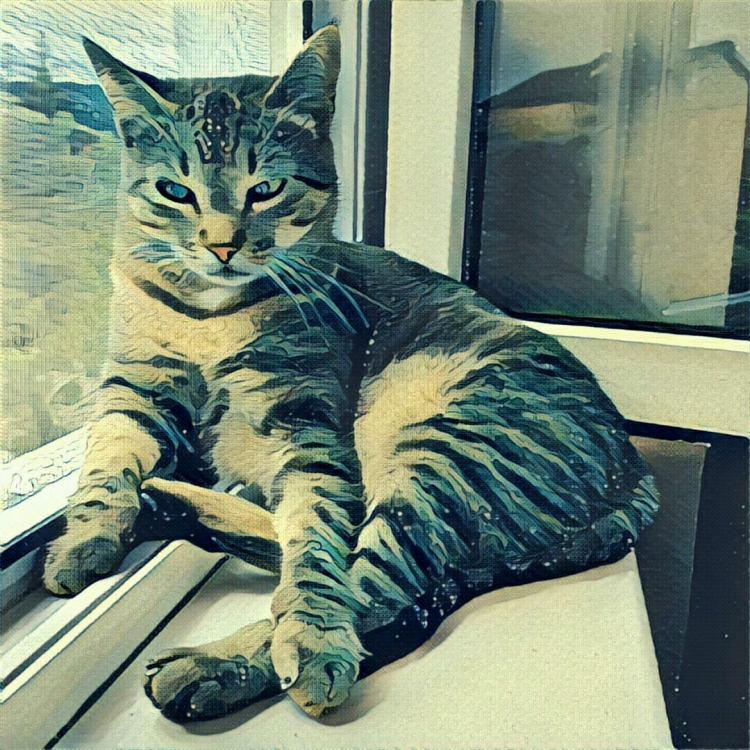 Новая версия Prisma для Android позволит вручную сохранять обработанное фото