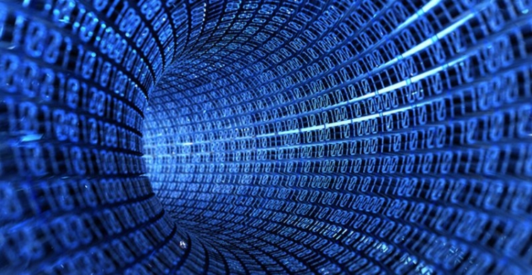 ФСБ обнаружила вирусы для кибершпионажа в сетях 20 госорганизаций