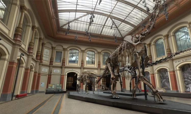 Google Arts & Culture: виртуальная прогулка в эпоху динозавров