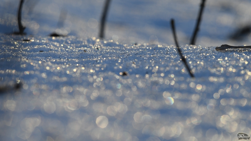 f/11, 1/160, ISO 400