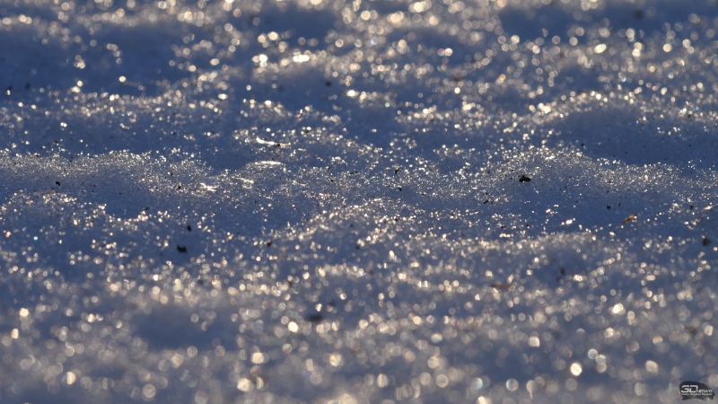 f/11, 1/100, ISO 125